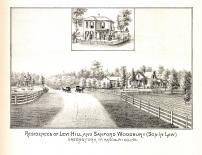 Levi Hill, Sanford Woodbury, Randolph County 1882